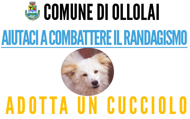 http://www.comune.ollolai.nu.it/news.asp?id=770
