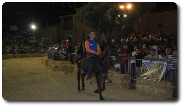 Palio asinelli Ollolai 2014