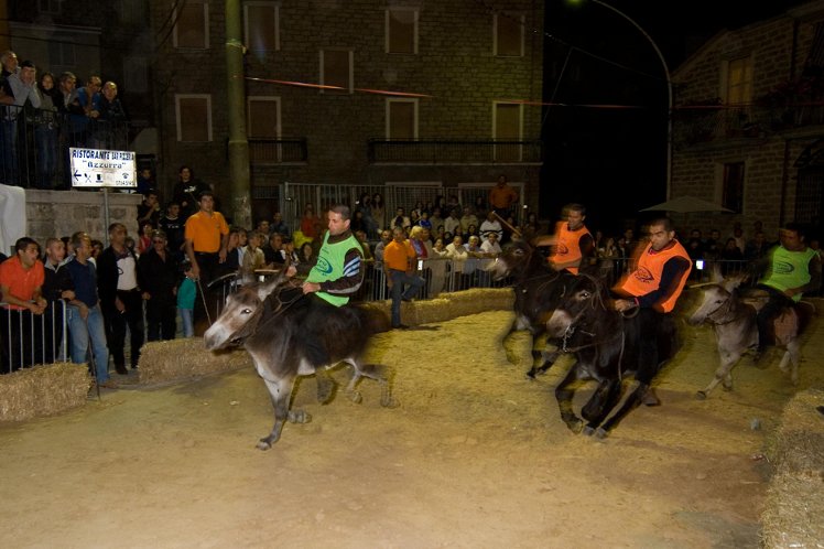 LA GARA DEL PALIO DEGLI ASINELLI A OLLOLAI